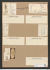 Amphora crassa Greg. (de-Toni-Nr.: Genus 36, Species 1645) Zeichnungen Sammlung Grunow Nr. 3143 (NHMW-BOT-W0370576)